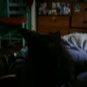 Meet your Posher, Carson